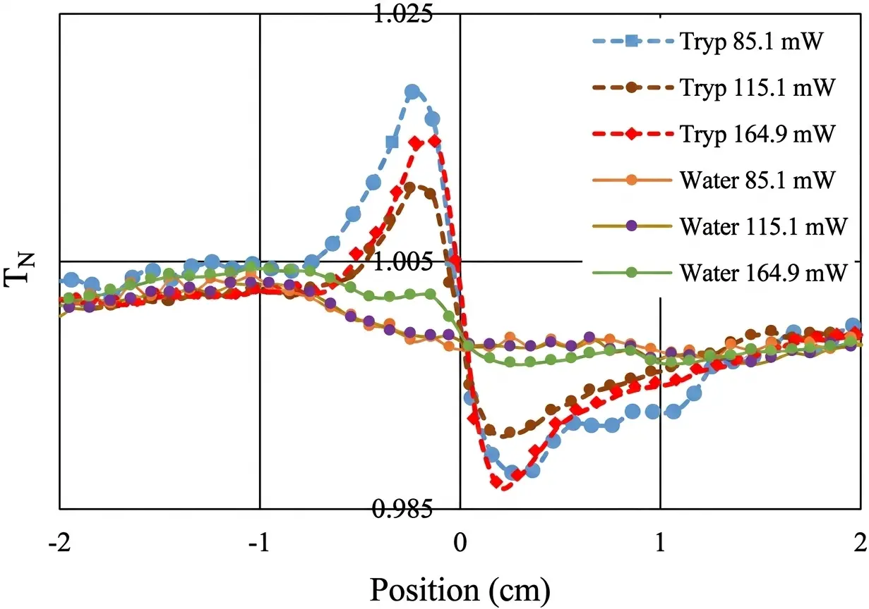 L-tryptophan Z-scan nonlinear optics